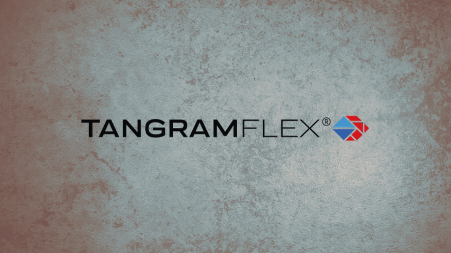 NSIN Alumni Spotlight: Tangram Flex